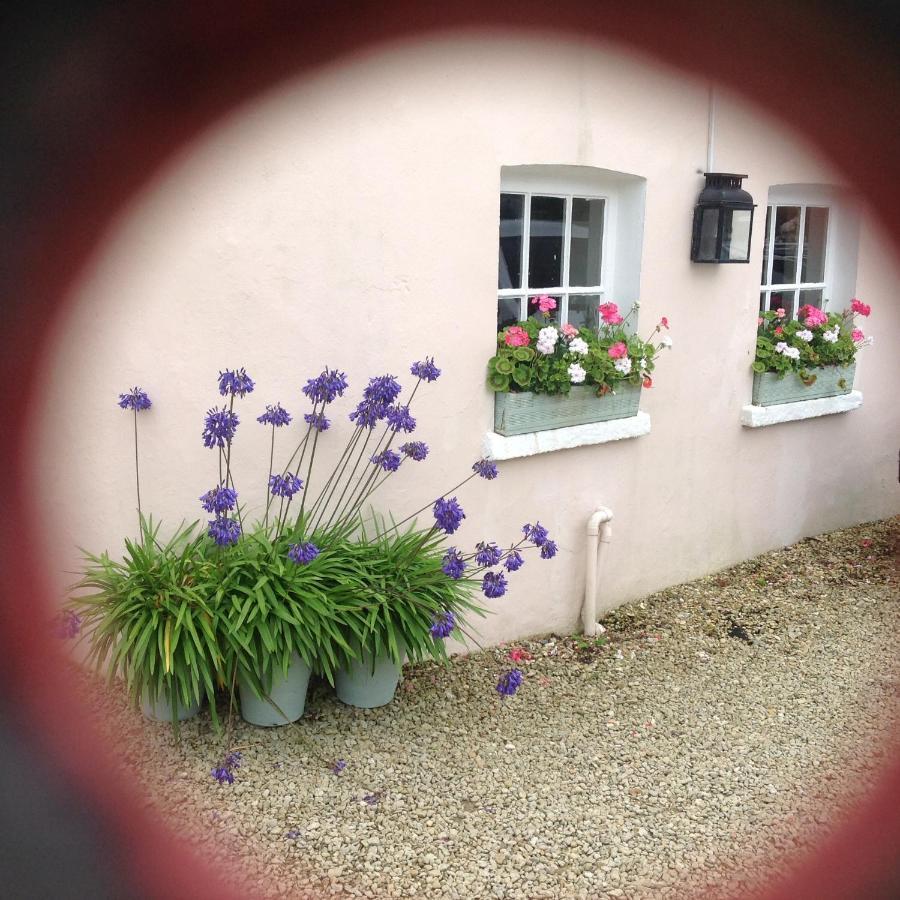 Newton Cottage Porthcawl Exterior foto
