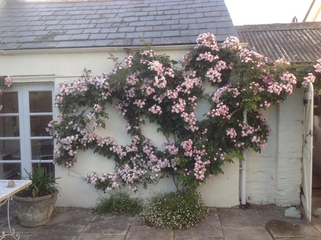 Newton Cottage Porthcawl Exterior foto